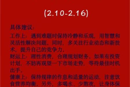 兔男本命年如何通过努力实现事业成功