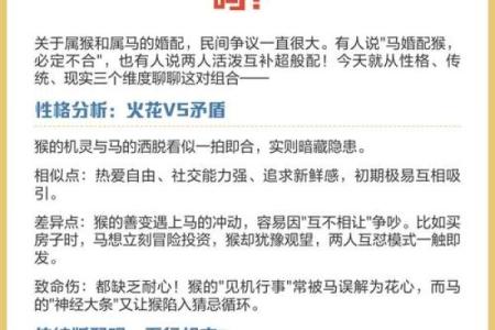鸡猴是否相配 如何看待生肖配对的相生相克关系
