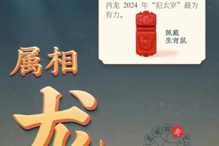 本命年龙女的最佳投资方向