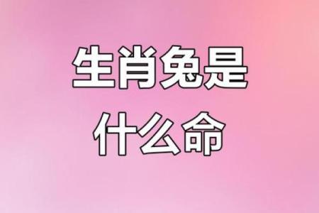 被称为兔命的人，你的命运特点是什么？