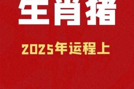 猪年各月运势变化与指导