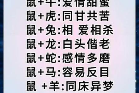 属鼠本命年如何在家庭中找到支持