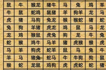 属鼠与属蛇的配对如何 生肖相合与相克分析