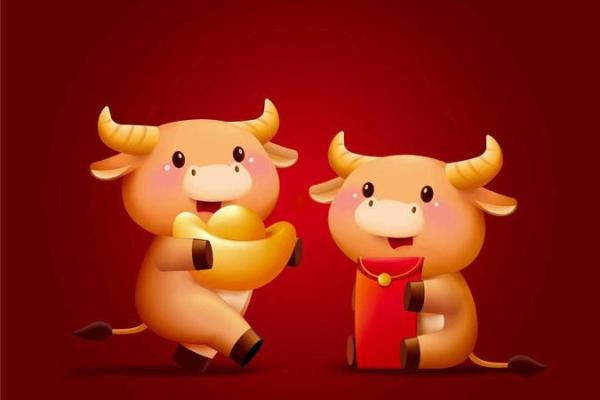 属鼠人在本命年如何调整心态 属鼠人在本命年如何调整心态