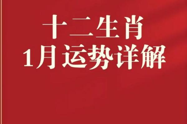 生肖运势大揭秘:每个生肖的全年运程分析 生肖运势大揭秘:每个生肖的全年运程分析