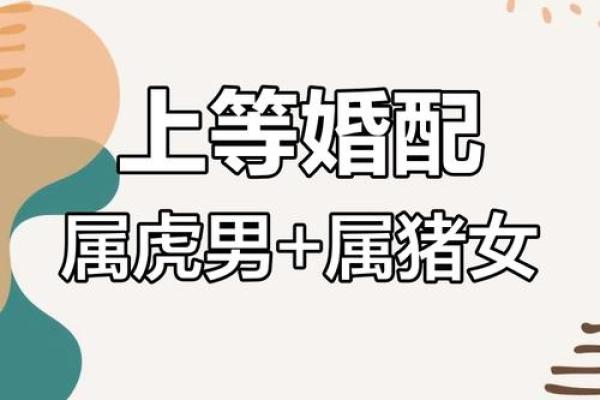 属鼠女与属虎男的爱情是否能长久?探索两者的配对潜力 属鼠女与属虎男的爱情是否能长久?探索两者的配对潜力
