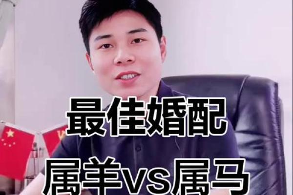属羊与属马的感情兼容性深度解析 属羊与属马的感情兼容性深度解析
