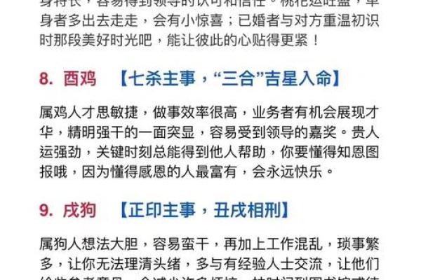 十二生肖运程预测:未来的吉凶 十二生肖运程预测:未来的吉凶