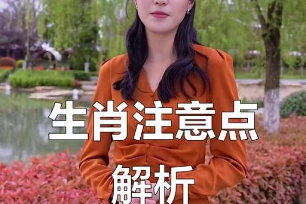 今天你的生肖运势如何?五个生肖需特别注意 今天你的生肖运势如何?五个生肖需特别注意
