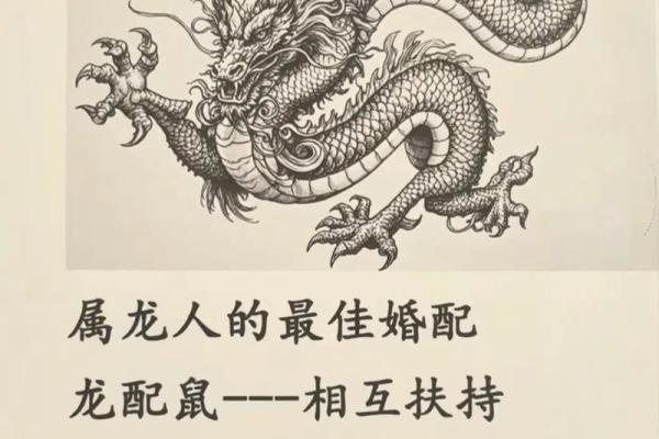 探讨龙男与狗女的配对是否理想 探讨龙男与狗女的配对是否理想
