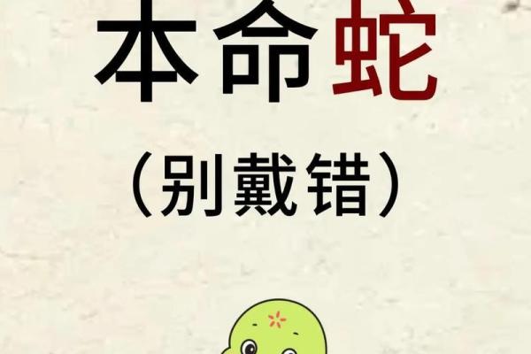 本命年蛇男如何利用优势迎接未来挑战 本命年蛇男如何利用优势迎接未来挑战