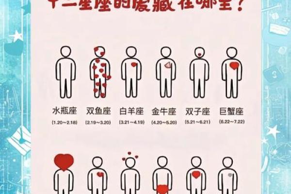 十二星座与生肖运势分析:的命运走向 十二星座与生肖运势分析:的命运走向