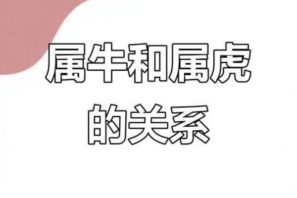 虎男与牛女的性格差异与和谐共处 虎男与牛女的性格差异与和谐共处