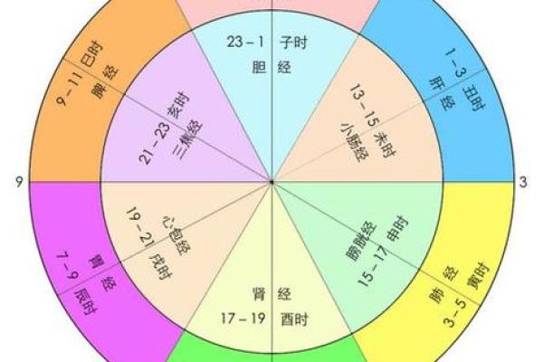出生的人属于什么生肖及命运解析 出生的人属于什么生肖及命运解析