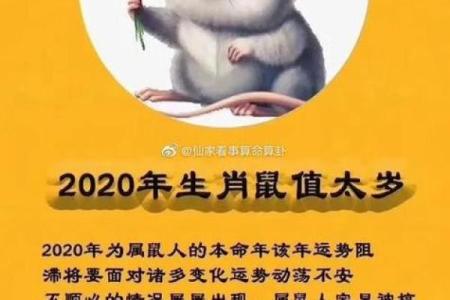 属鼠人在本命年如何调整心态
