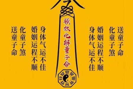 从命理学角度解读半花姐命的神秘密码