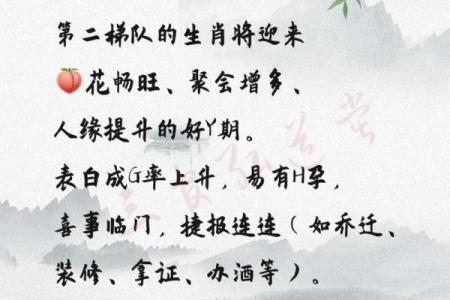 生肖运势解析：哪些生肖迎来好运