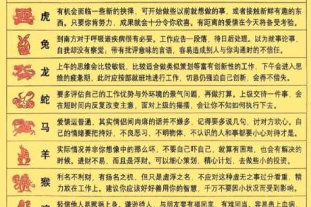 出生的生肖运势与人生轨迹