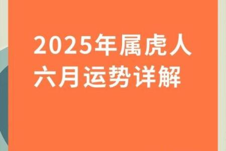 本命年属虎人如何突破事业瓶颈