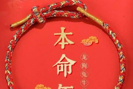 本命年蛇男如何利用优势迎接未来挑战