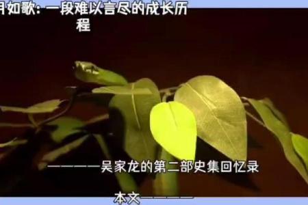 1995年：岁月如歌，回忆满满