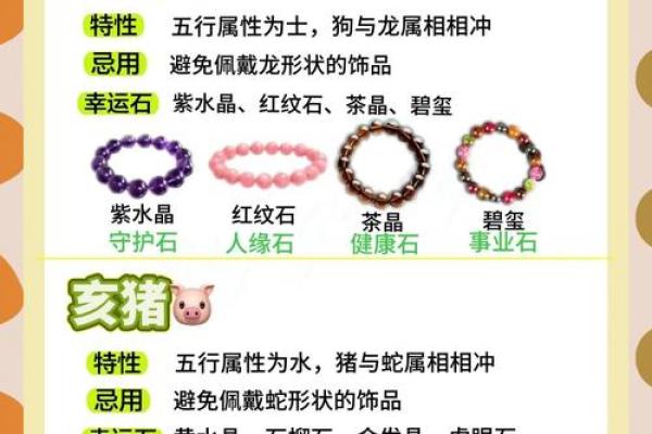 五花八门与生肖的奇妙联系揭秘 五花八门与生肖的奇妙联系揭秘