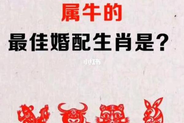 属龙男与属牛女的婚姻幸福指数 属龙男与属牛女的婚姻幸福指数