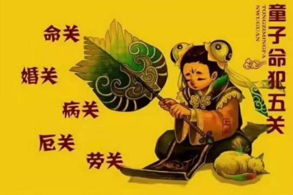 草童子命与传统命理的关系解读 草童子命与传统命理的关系解读