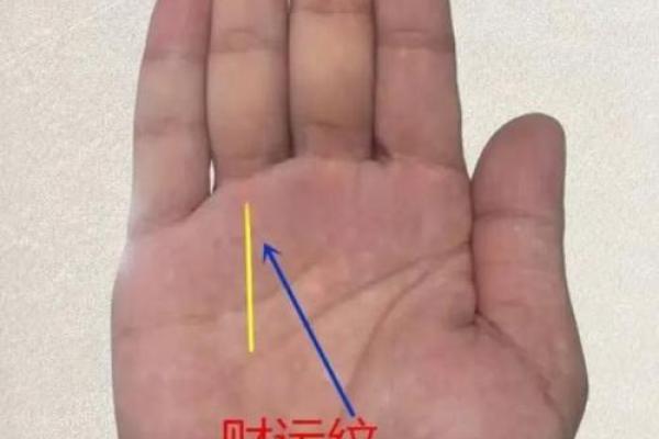 从手相看富贵命:哪些手型最有福气 从手相看富贵命:哪些手型最有福气