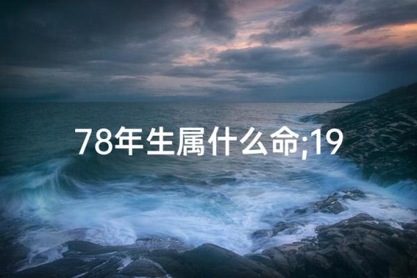 出生人的命运解析与运势特点 出生人的命运解析与运势特点
