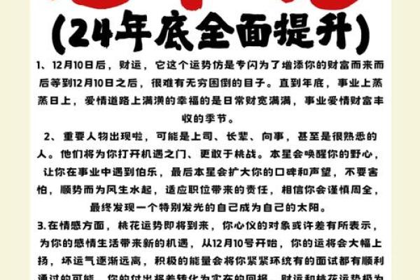 2024年黄金运势：揭秘生肖运势大揭秘