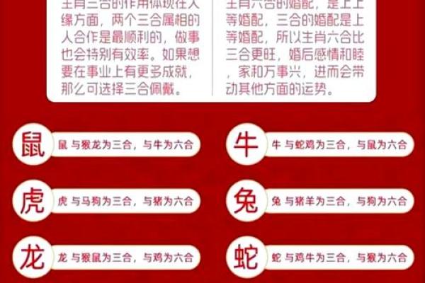 十二生肖运程全解析:每个生肖的运势变化 十二生肖运程全解析:每个生肖的运势变化