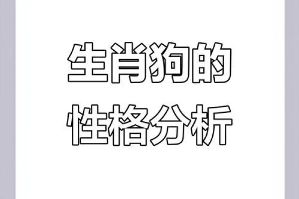 从五行角度看狗的命运特征 从五行角度看狗的命运特征