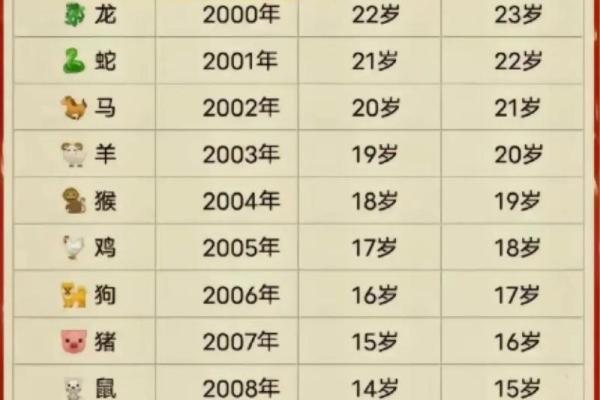 本命年兔男如何做好财务规划 本命年兔男如何做好财务规划