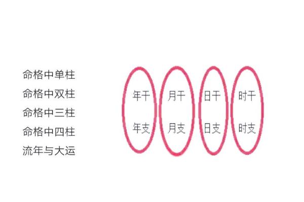 生肖运势解析:如何应对挑战和机遇 生肖运势解析:如何应对挑战和机遇