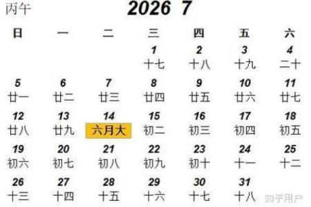 阴历是公历还是农历？专家为你揭秘！