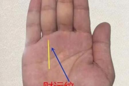 从手相看富贵命：哪些手型最有福气