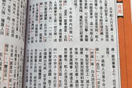蛇男本命年的财运解析与理财建议