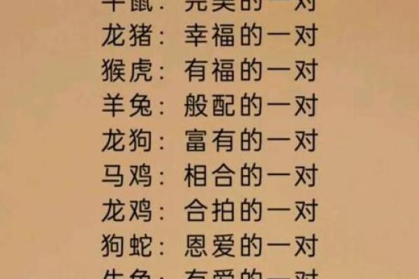属兔与属马的配对分析:是否天生合适? 属兔与属马的配对分析:是否天生合适?