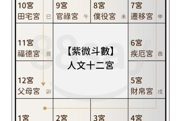 紫薇运程解析:生肖运势大揭秘 紫薇运程解析:生肖运势大揭秘