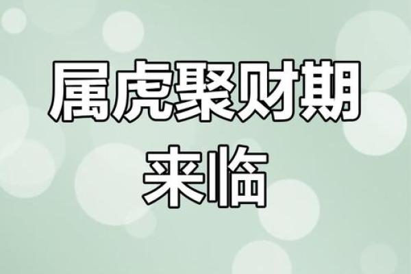 属虎人在本命年如何应对感情危机 属虎人在本命年如何应对感情危机