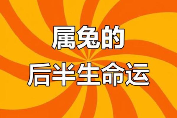 生肖运程每月分析,揭开每月的好运与挑战 生肖运程每月分析,揭开每月的好运与挑战