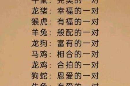 属兔与属马的配对分析：是否天生合适？