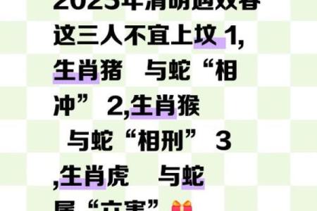 属虎女和属蛇男是否合适的深度探讨