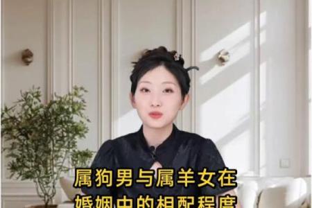 男属羊与女属牛的婚姻生活能否和谐