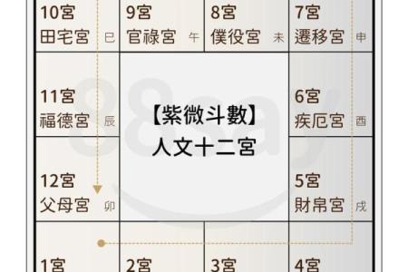紫薇运程解析：生肖运势大揭秘