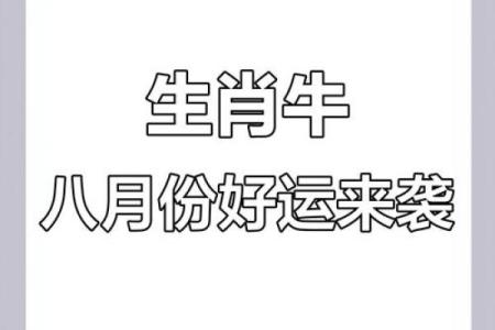 属牛运势大揭秘：事业、财富与感情运程分析
