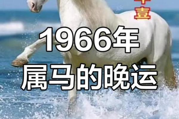 年健康运势:属马人如何保持身心平衡 年健康运势:属马人如何保持身心平衡