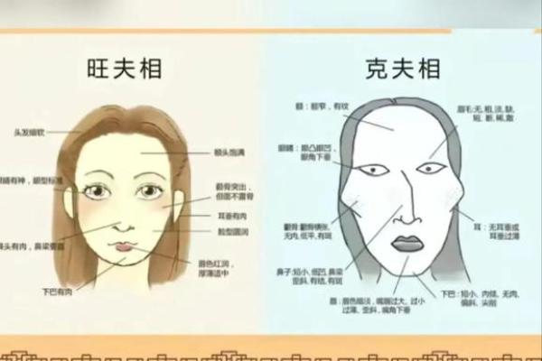 从命理角度解读半夫之命的成因与特点 从命理角度解读半夫之命的成因与特点