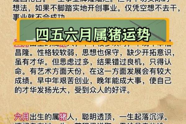 出生的你年命解析及命运特点 出生的你年命解析及命运特点